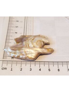 Loose Baroque Catus Bird  Shape Freshwater Keshi 34.5  ct  6.9  gr 5.5 cm  x 5 c